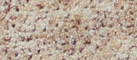 CarpetKrin, Almond Shape I Comfort Grip traction