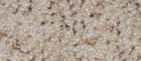 CarpetKrin, Beige IV with Comfort Grip traction