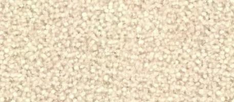 CarpetKrin, Beige II with Comfort Grip traction