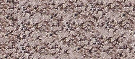 CarpetKrin, Moon Mist II with Comfort Grip traction