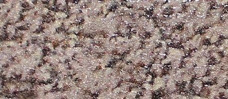 CarpetKrin, Moon Mist II with SG4 Traction