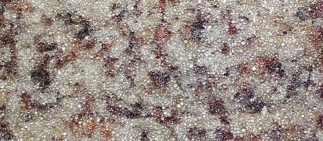 CarpetKrin, Somerset Flair with SG4 Traction