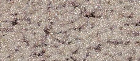 Almond-Shape II, Super Grip - No-slip Strip