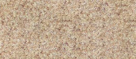 Clearwater Canyon, Super Grip - No-slip Strip