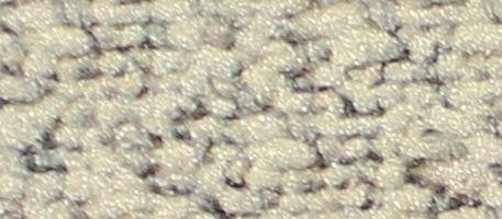 Sunny Branch, Super Grip - No-slip Strip